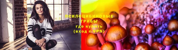 бошки Верхний Тагил