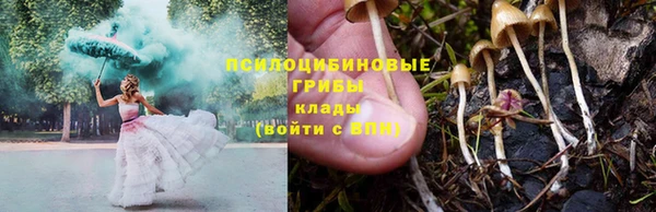 стафф Верея