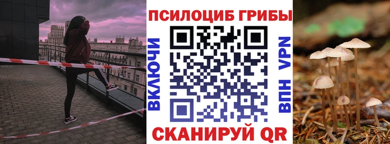 Псилоцибиновые грибы мицелий  Купить  Палласовка 